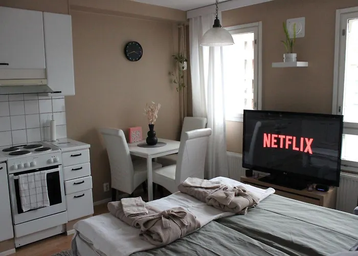 Two-room In The Center Of With A Sauna! Free Parking! Apartment